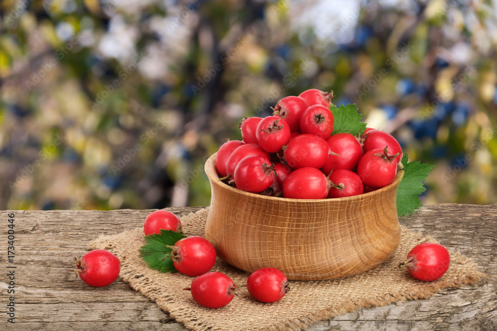 Hawthorn berry with leaf in a bowl on wooden table with a blurry garden background Hawthorn berry with leaf in a bowl on wooden table with a blurry garden background