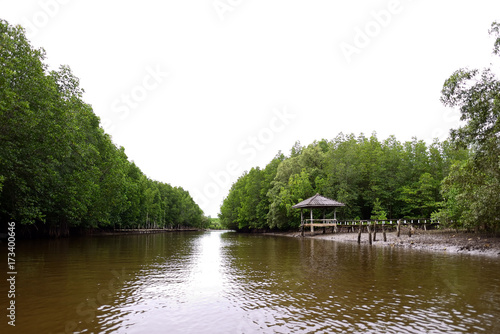 The pavilion by canalside and mangrove forest with water flowing through.