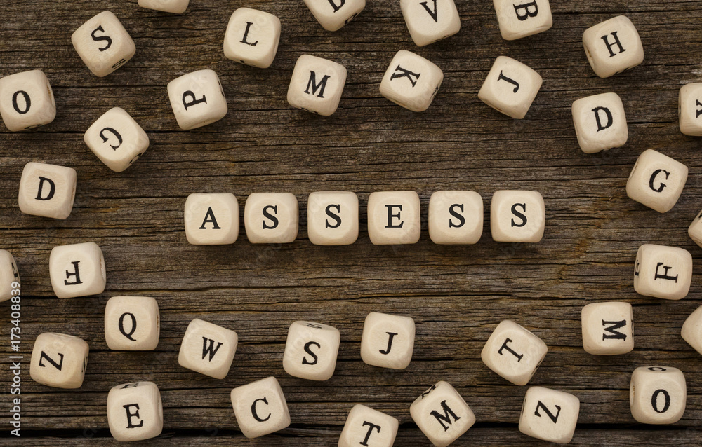 Word ASSESS written on wood block Word ASSESS written on wood block