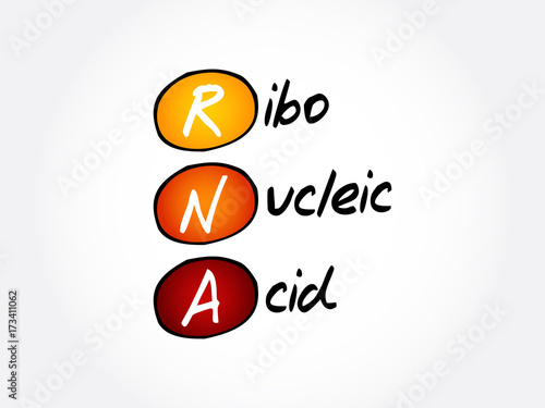RNA - Ribonucleic acid, acronym concept background