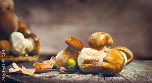 Cep mushrooms. Boletus isolated over wooden background