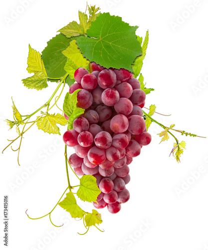 grappe de raisin rosé et vigne, fond blanc 