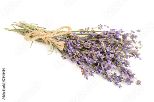 Bunch of lavender isolated on white background