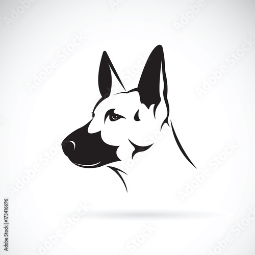 Vector of dog head (German shepherd) on white background, Pet. Animals.