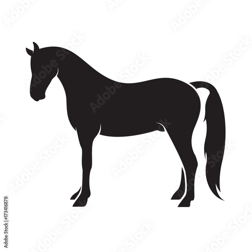 Vector of a horse isolated on white background. Animal.