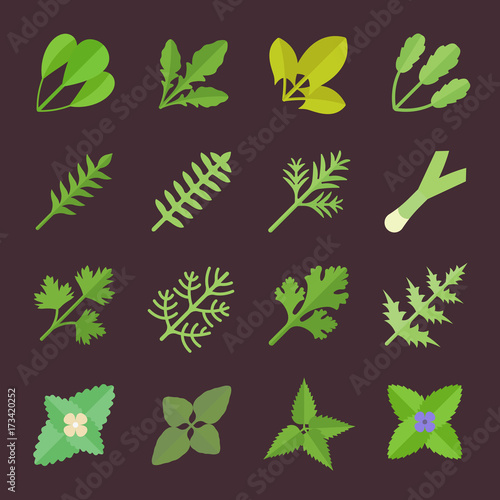 Set Vector Flat Icons of Greenery