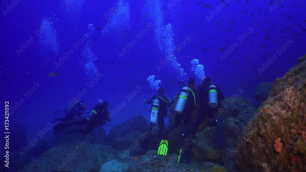 Diver with lantern school of fish on underwater seabed of natural sea aquarium. Unique landscape, rocky pinnacles, canyons, walls and caves. Beautiful relax array of marine life ready for exploration. Diver with lantern school of fish on underwater seabed of natural sea aquarium. Unique landscape, rocky pinnacles, canyons, walls and caves. Beautiful relax array of marine life ready for exploration.