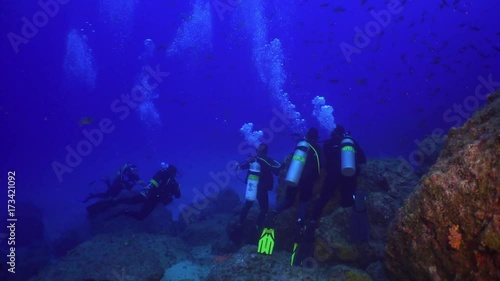 Wallpaper Mural Diver with lantern school of fish on underwater seabed of natural sea aquarium. Unique landscape, rocky pinnacles, canyons, walls and caves. Beautiful relax array of marine life ready for exploration. Torontodigital.ca
