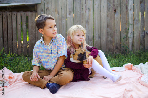 Boy ang girl playing with their pets - dogs French bulldog. Smiling happy children.