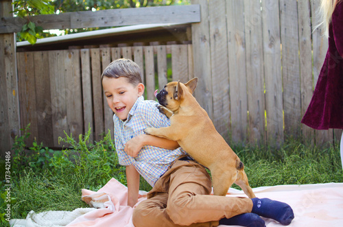 Happy caucasian boy playing with puppy. French bulldog puppies jumping and playing.