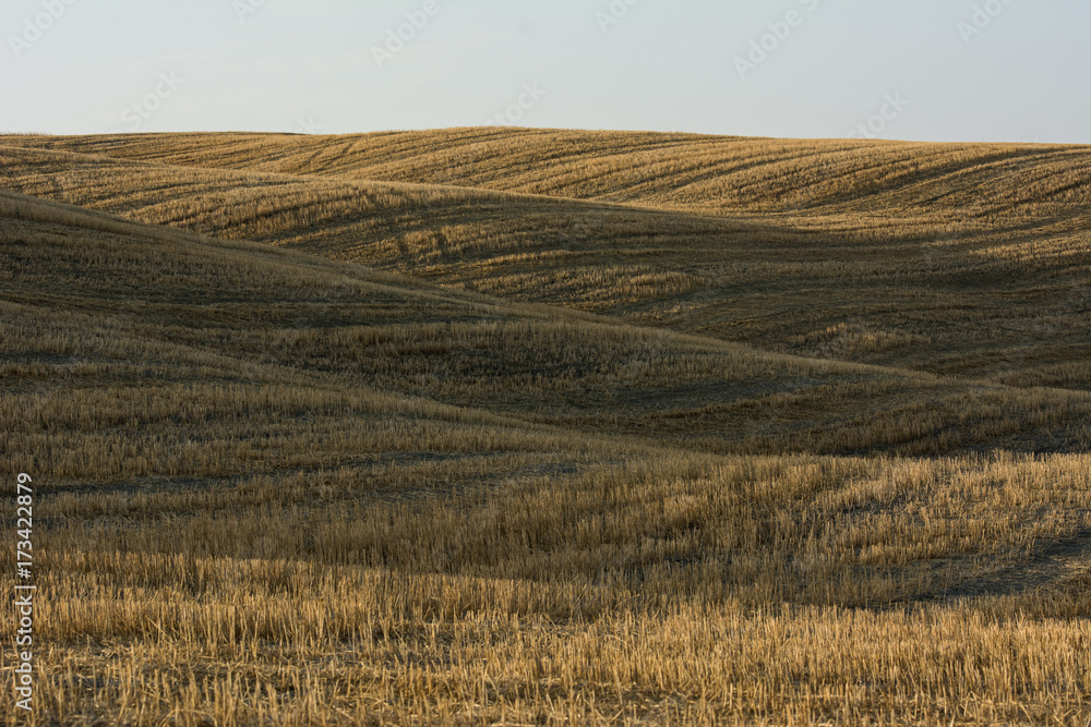 Fototapeta premium terre sinuose