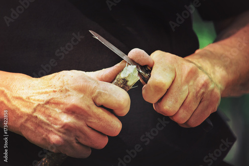 survival skills in the nature, man making a wooden stick using a knife	 photo