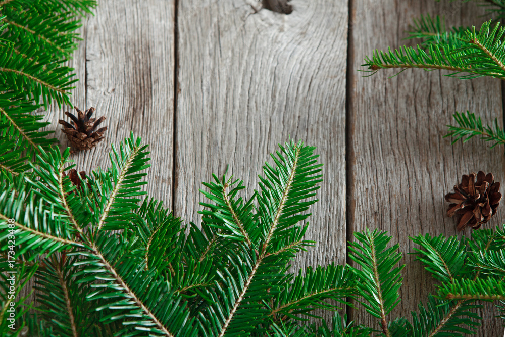 Christmas tree branches background Christmas tree branches background