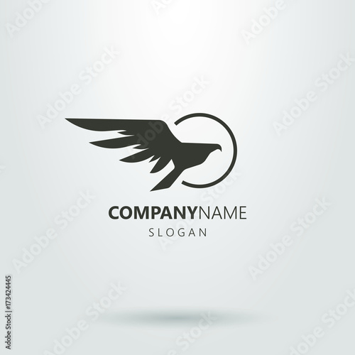 Black and white hawk logo