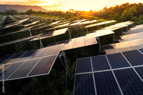 Solar panels (solar cell) in solar farm with blue sky and sun lighting.