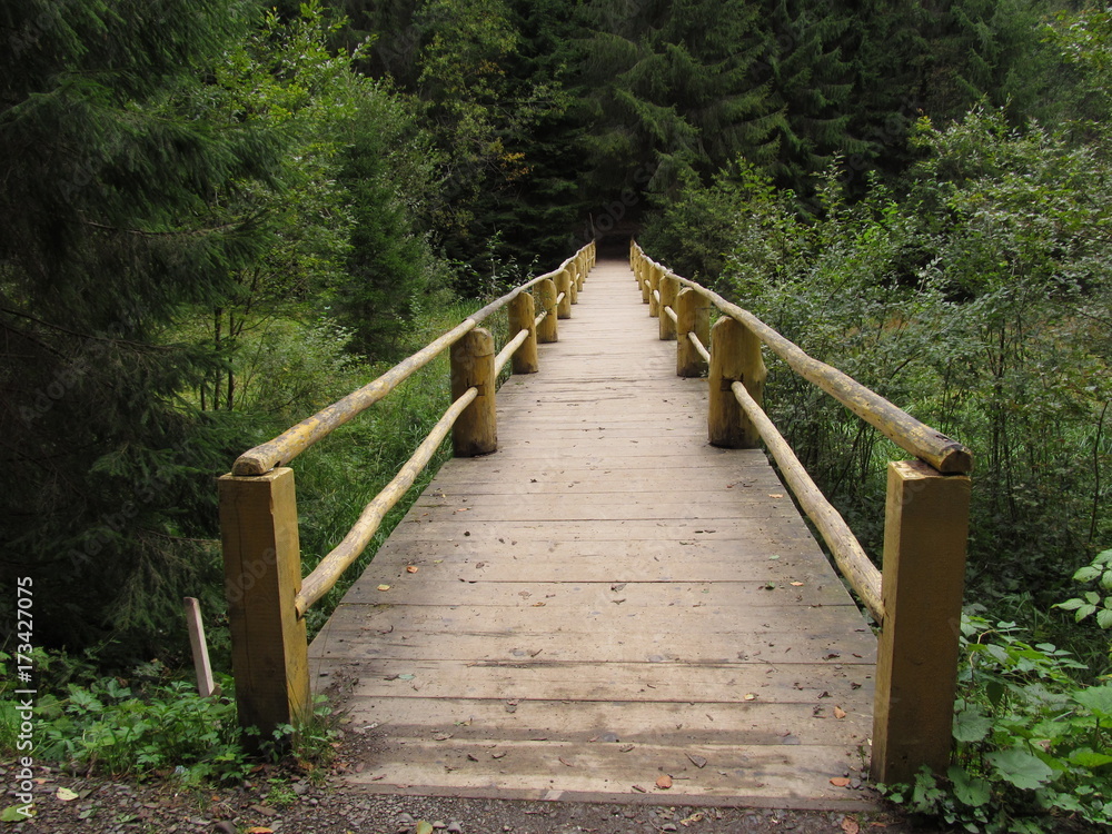 Obraz premium bridge over the mountain river in the Carpathian forest