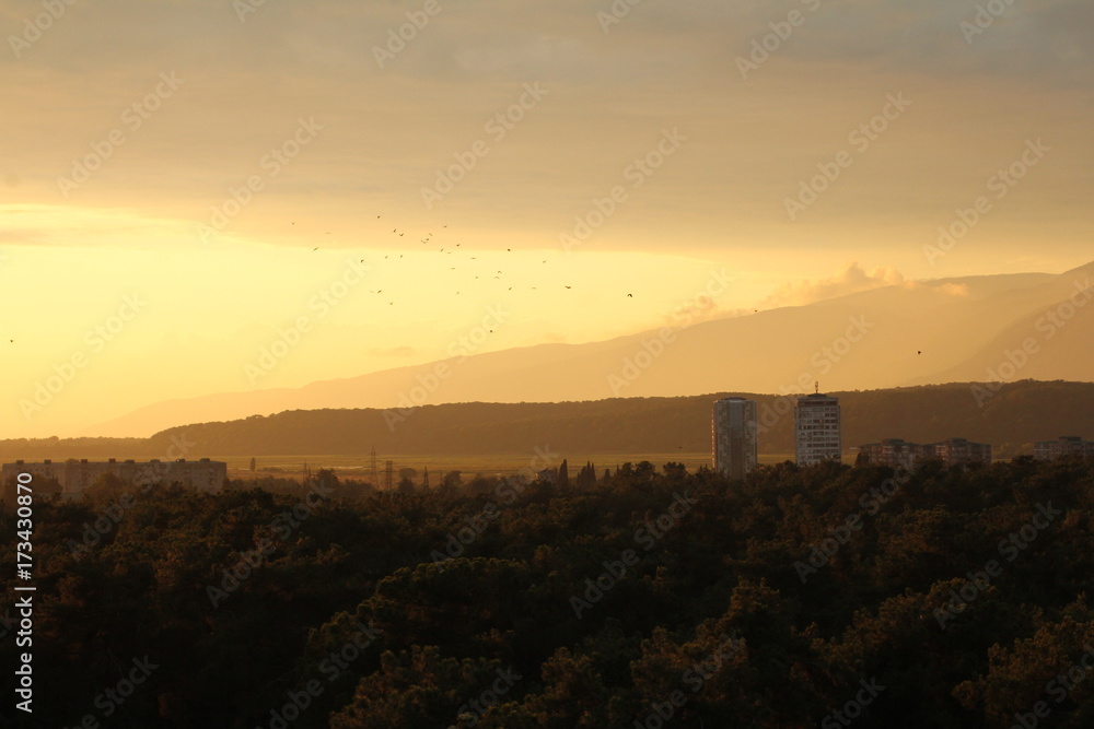 birds on the sunset background in mountain, Abkhazia, Pitsunda
