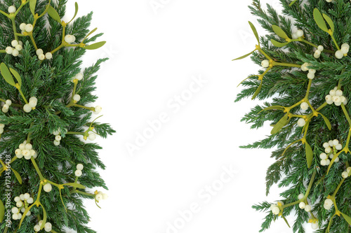Juniper fir and mistletoe forming a background border over white.