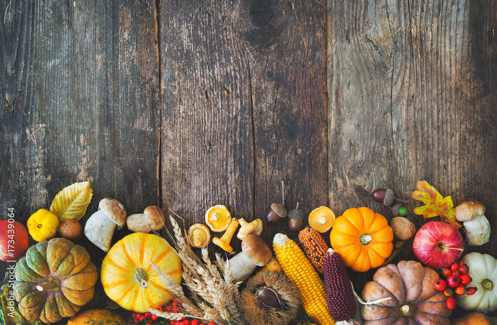 Harvest or Thanksgiving background - obrazy, fototapety, plakaty 
