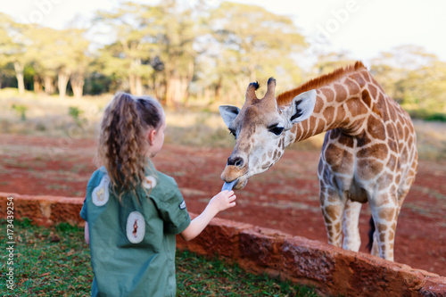 Photography Cute little girl feeding giraffes in Africa