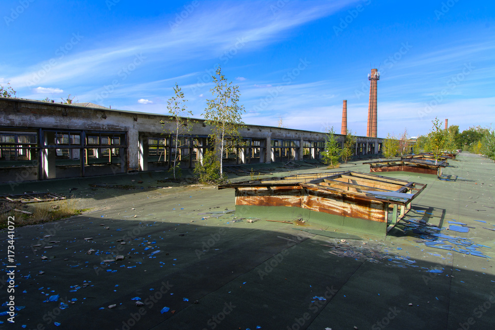 The destroyed building of the factory workshop, which worked in the defense industry of Ukraine. The trees grew on the roof. Robbery and an act of vandalism. September 2017 The destroyed building of the factory workshop, which worked in the defense industry of Ukraine. The trees grew on the roof. Robbery and an act of vandalism. September 2017