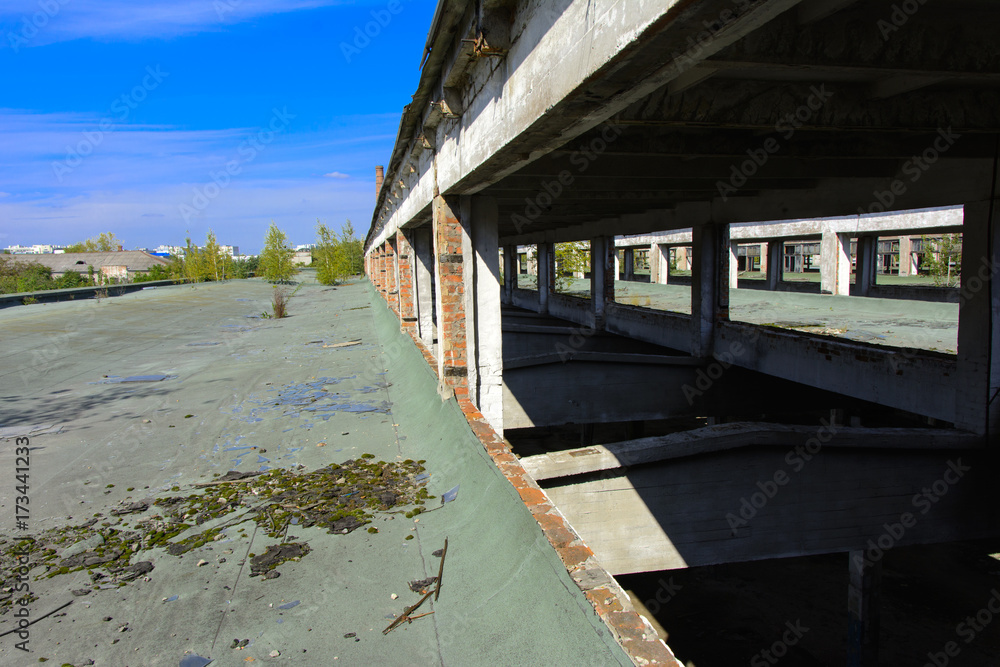 Fototapeta premium The destroyed building of the factory workshop, which worked in the defense industry of Ukraine. The trees grew on the roof. Robbery and an act of vandalism. September 2017