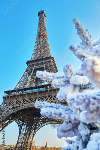 Christmas tree covered with snow near the Eiffel tower in Paris photo