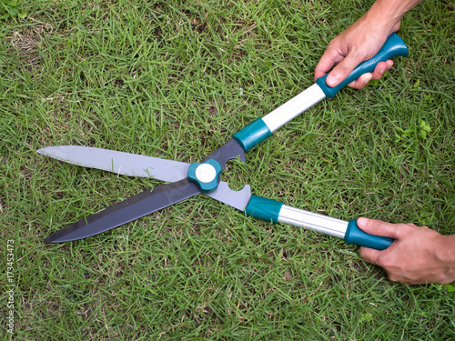 Cutting grass with scissors