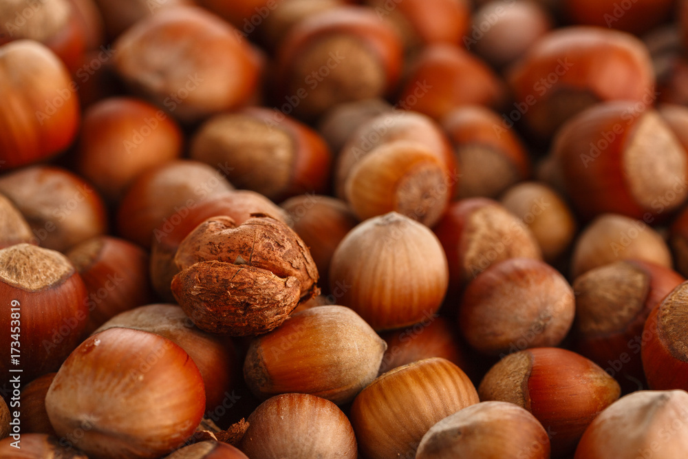 Hazelnuts. Food background, photo wallpaper. Hazelnuts. Food background, photo wallpaper.