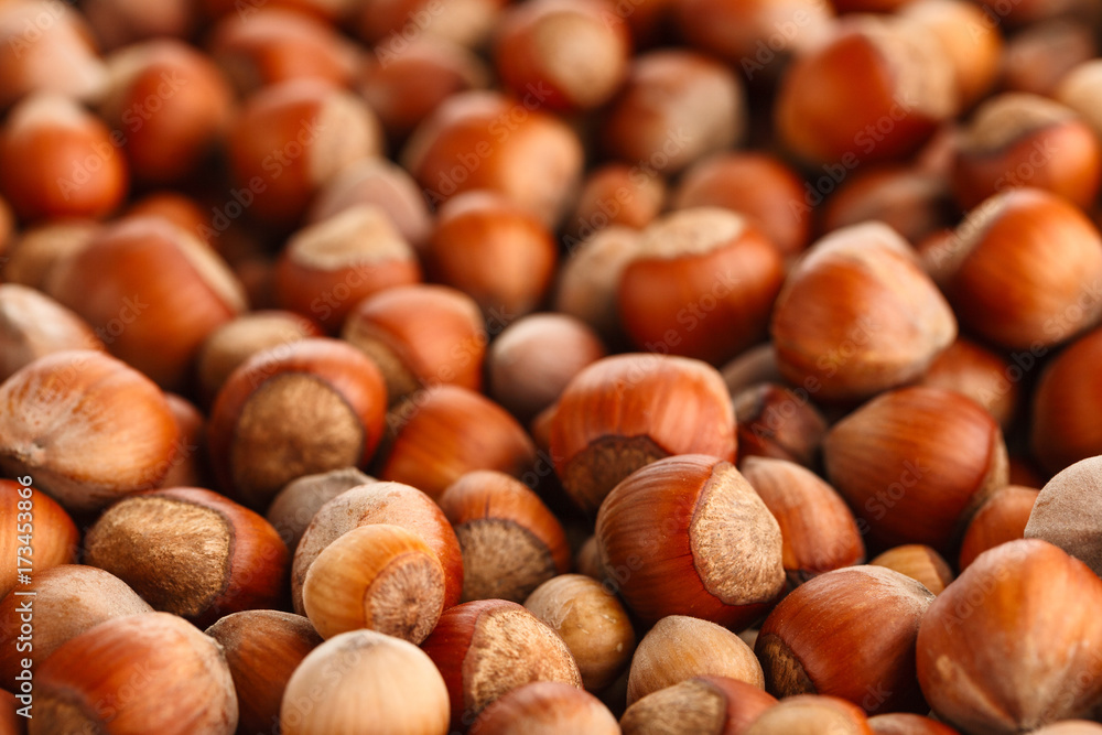 Hazelnuts. Food background, photo wallpaper.