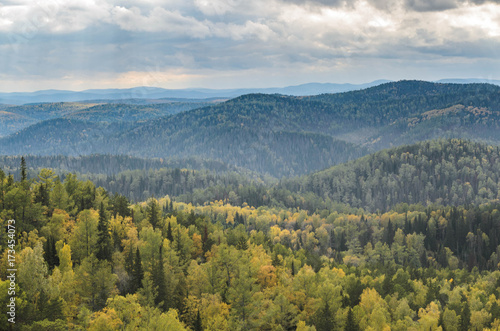 Golden autumn landscape in the mountains  Siberia  Russia