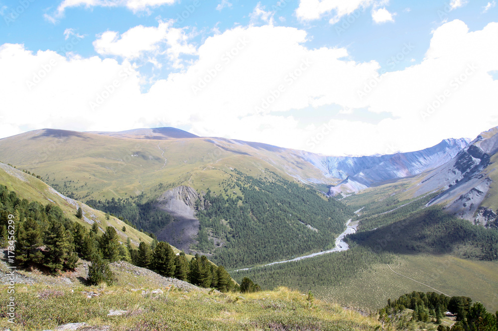 Obraz premium Russia, Republic of Altai. Very beautiful pictures of nature in Altai High snow-capped mountains, fast, noisy mountain rivers, beautiful meadows and fields and woods - the nature of mountain Altai