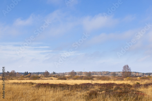 Moor Landscape, Eifel