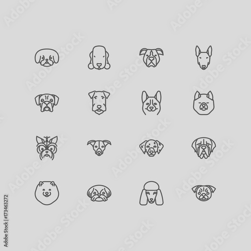 Dog breeds Vector Collection