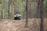 Man riding an ATV quadbike in a beautiful autumn pine forest with  carpet of fallen needles