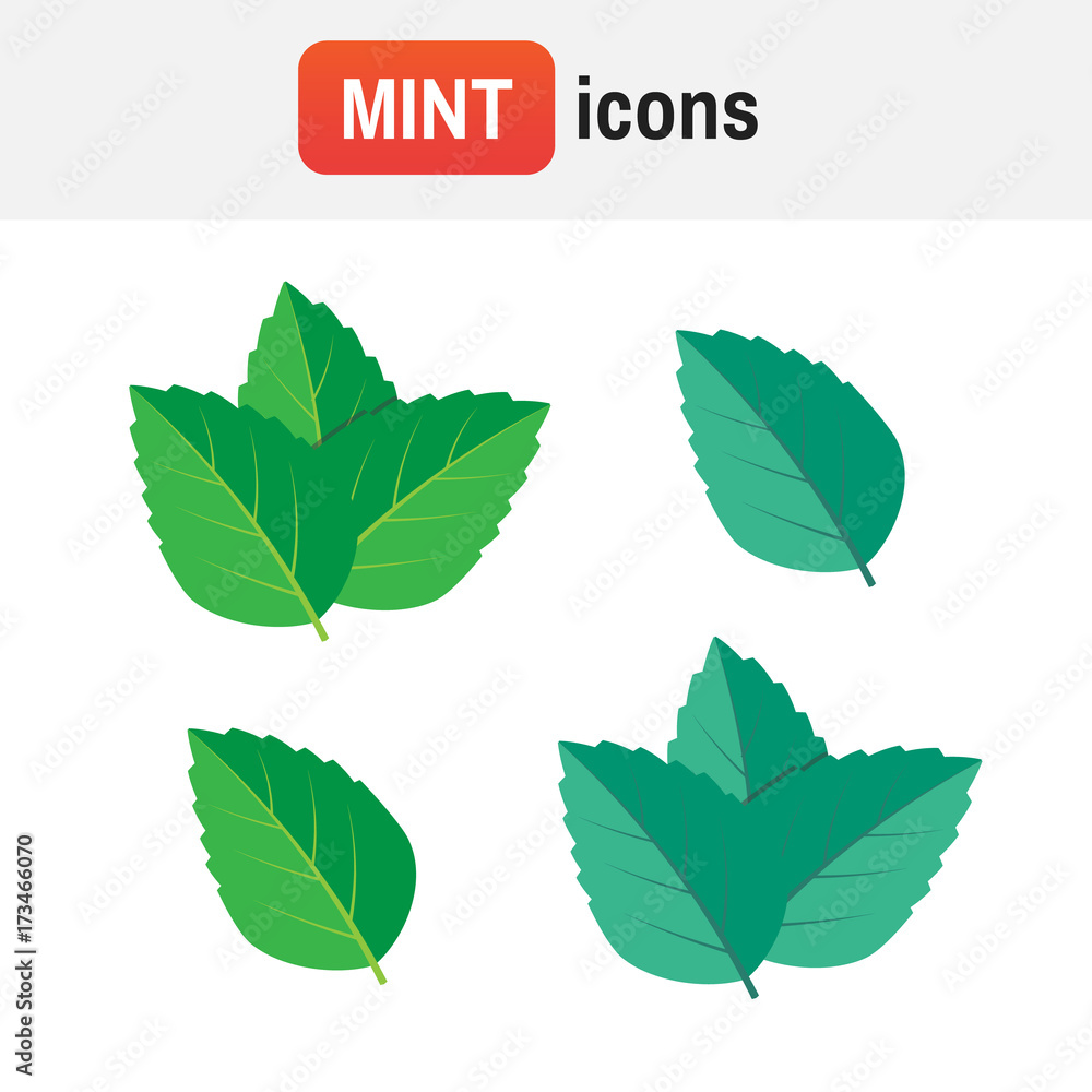 Mint Leaf Icon Mint Green Vector Illustration Set Mint Logo Vector Stock Vector Adobe Stock