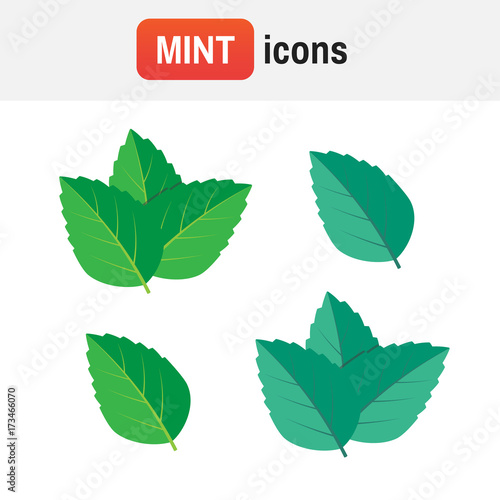 mint leaf icon. Mint green vector illustration set. Mint logo vector