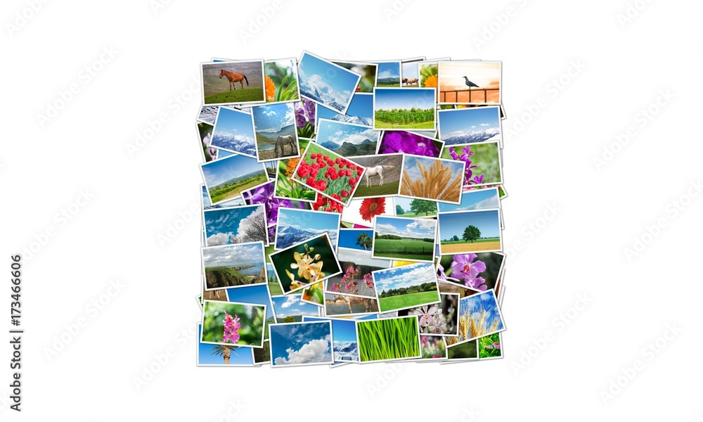 Frame made of various nature photos