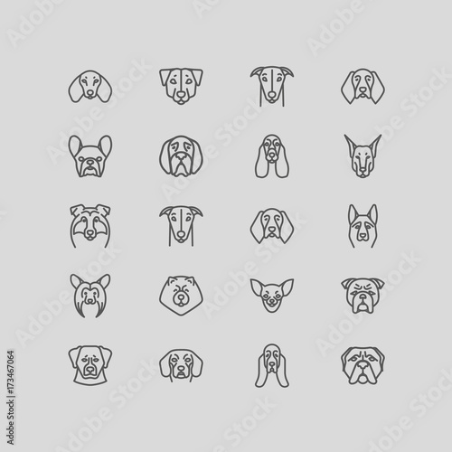 Dog breeds Vector Collection