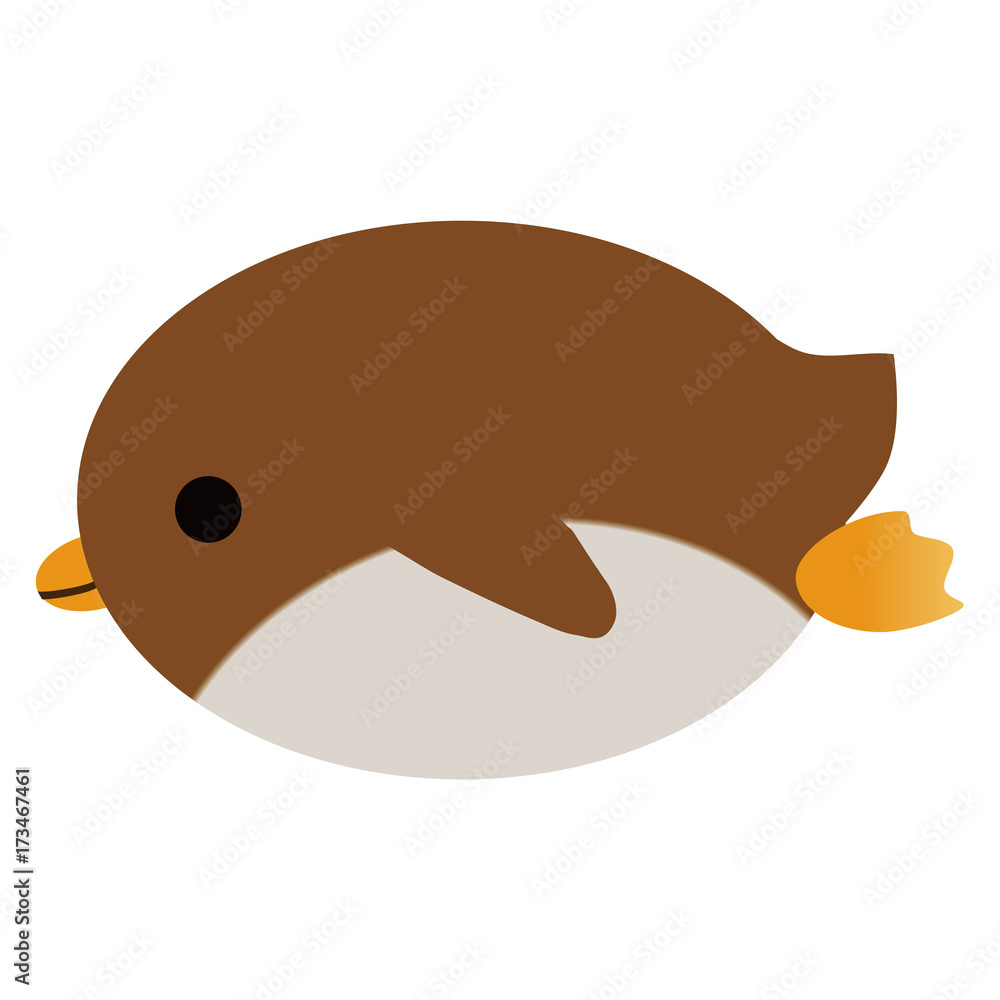 腹ばいのペンギン 腹ばいのペンギン