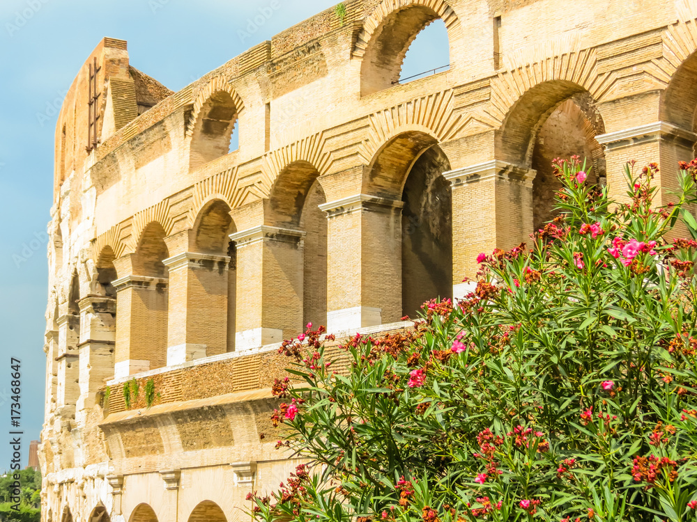 Obraz premium Roman Colosseum, the most known sight of Rome