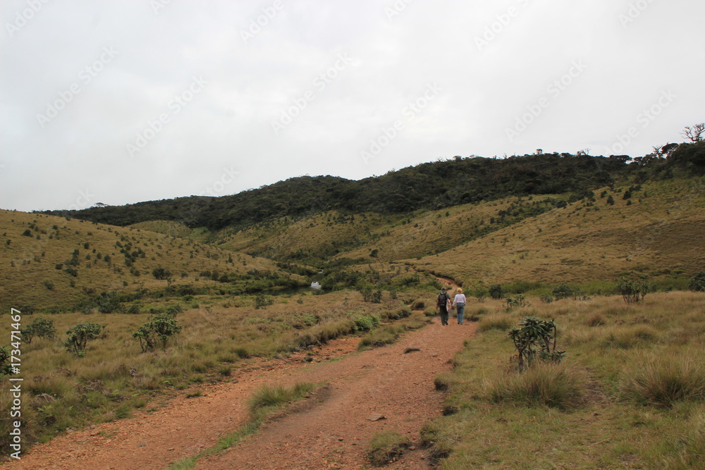 Obraz premium Sri Lanka