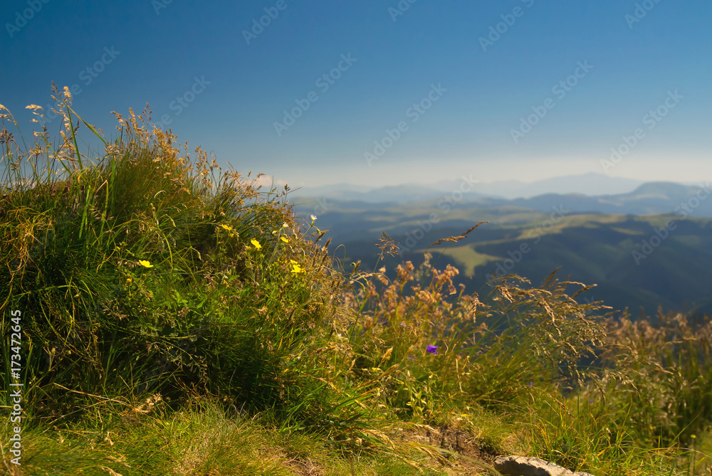 Obraz premium Carpathians nature