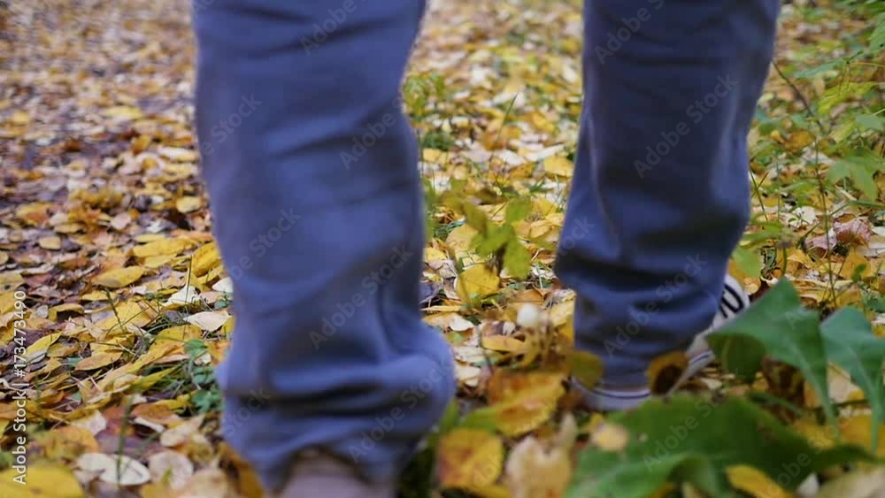 Boy walks in Autumn Park, yellow leaves lay underfoot. Sports outdoors. Boy walks in Autumn Park, yellow leaves lay underfoot. Sports outdoors.