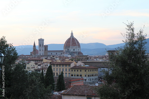 Cathédrale Santa Maria del Fiore entre les arbres