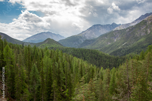 Forest panorama during a hiking day in Summer in Engadin, Switzerland
