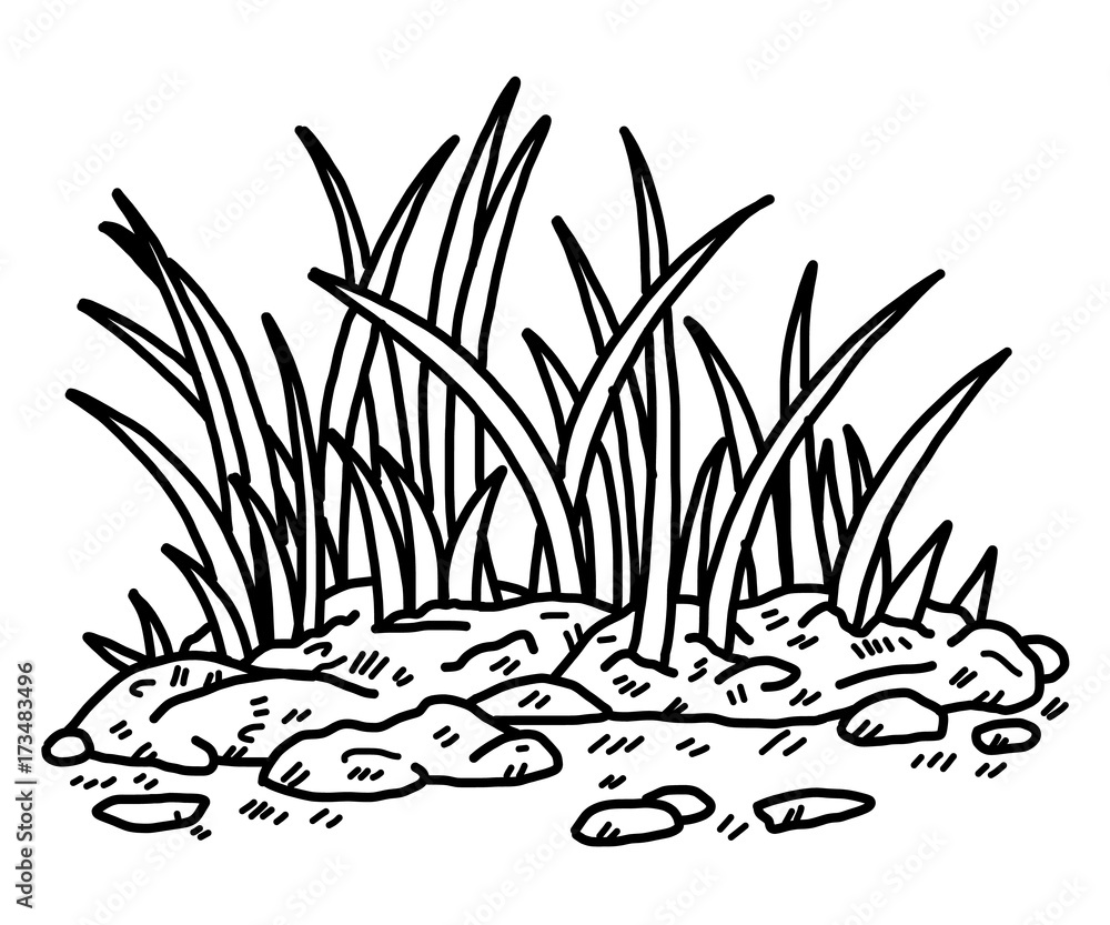 grass / cartoon vector and illustration, black and white, hand drawn,  sketch style, isolated on white background. Stock Vector | Adobe Stock