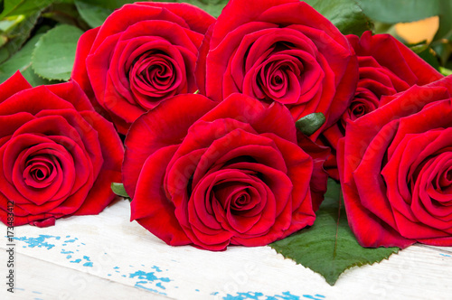 Red roses on a old blue wooden background.