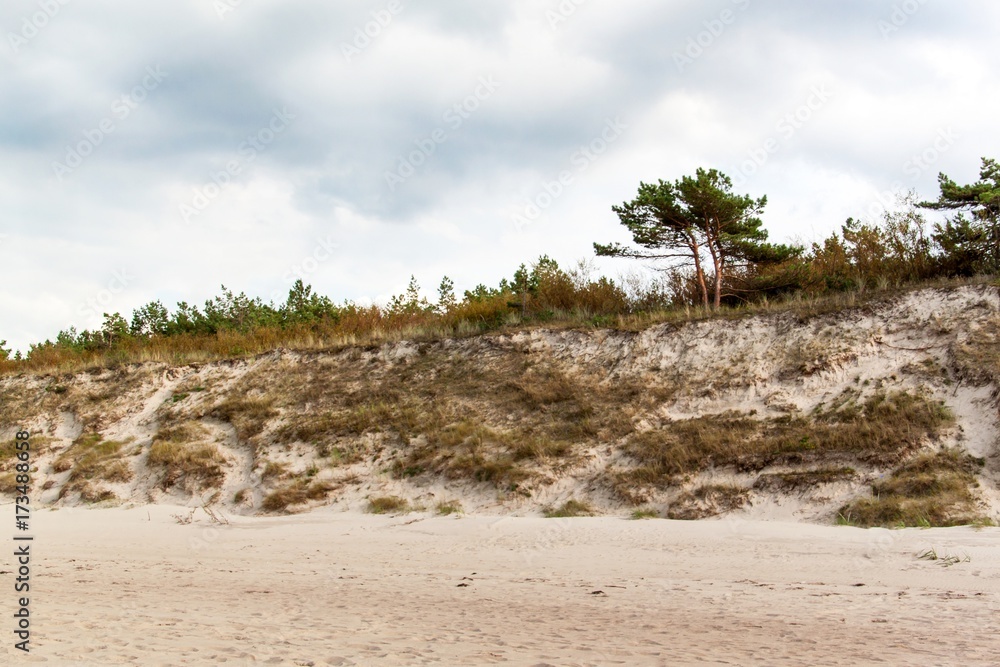 Baltic Sea Coast. Cold autumn morning on the beach. Soil erosion. Seashore. Baltic Sea Coast. Cold autumn morning on the beach. Soil erosion. Seashore.