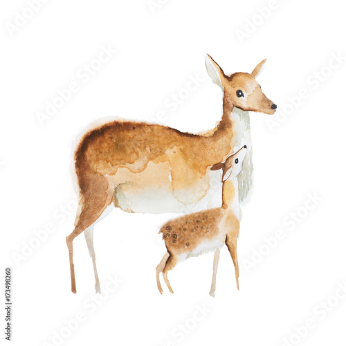 Obraz na płótnie Akwarela, rysunek jelenia matki i płowy